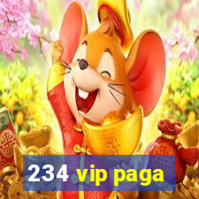 234 vip paga